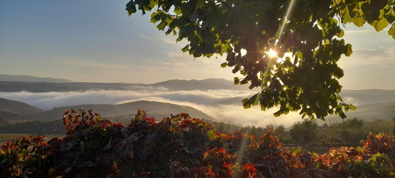 Quinta Alto Da Fraga Villa Vila Nova de Fozcoa Luaran gambar