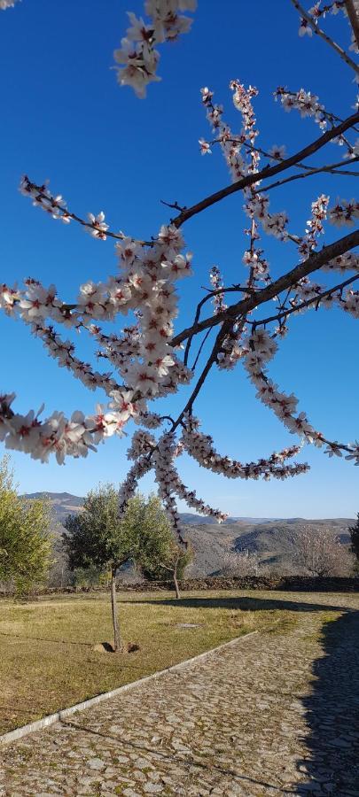 Quinta Alto Da Fraga Villa Vila Nova de Fozcoa Luaran gambar