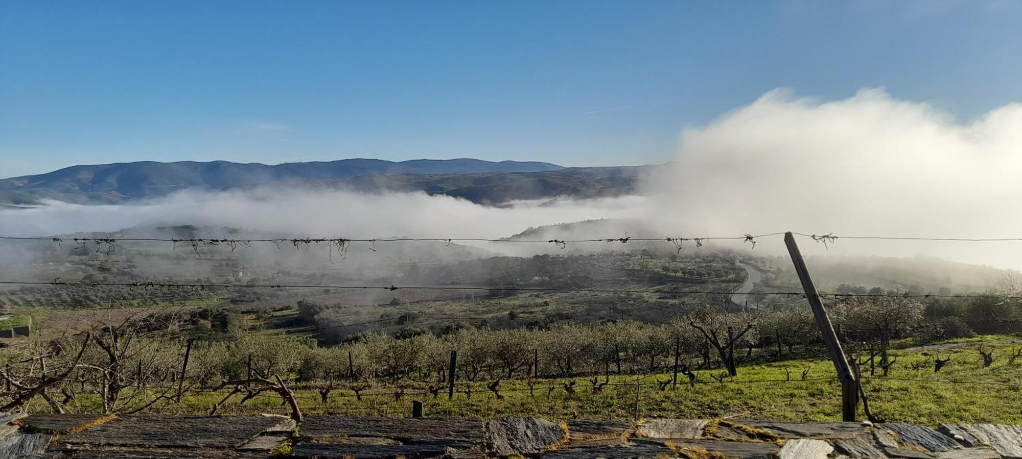 Quinta Alto Da Fraga Villa Vila Nova de Fozcoa Luaran gambar